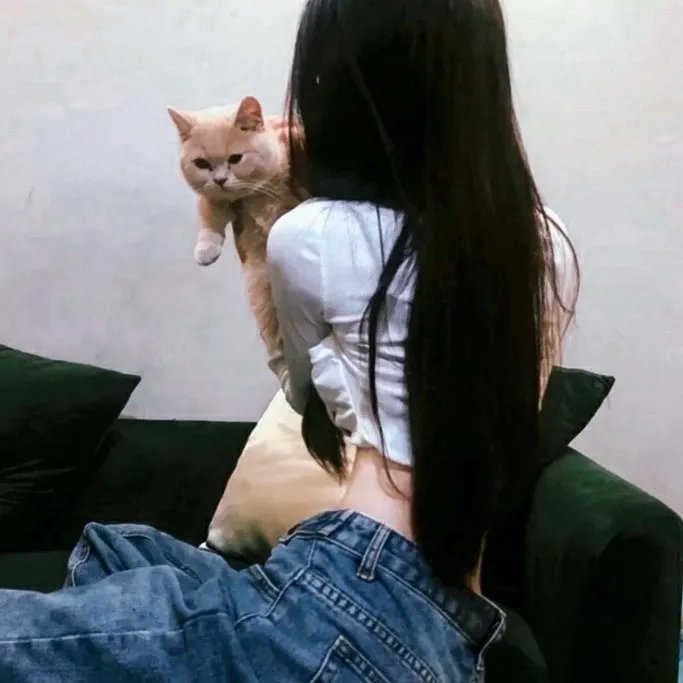 城市猎人天使之泪